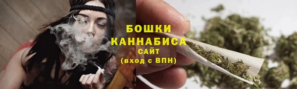 стаф Михайловск
