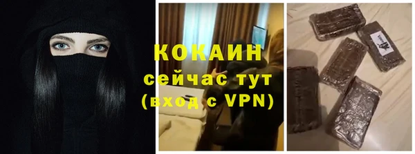 индика Михайлов