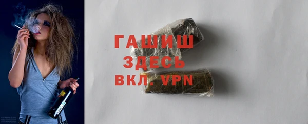 индика Михайлов