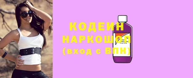 индика Михайлов