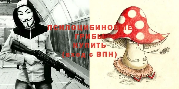 индика Михайлов