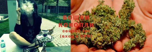 индика Михайлов