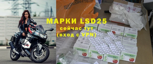 индика Михайлов