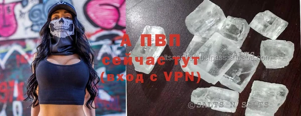 индика Михайлов