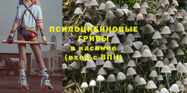 стаф Михайловск