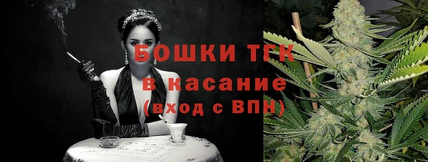 индика Михайлов