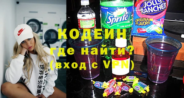 индика Михайлов