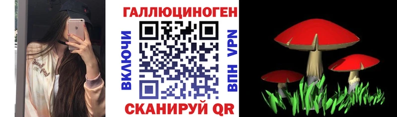 Галлюциногенные грибы Cubensis  Подпорожье 
